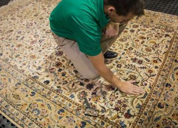 professional rug cleaning