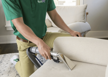 cleaning-urine-odor-on-sofa